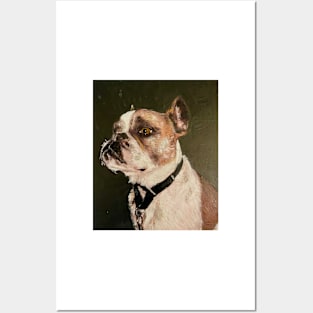 Portrait of an American Bulldog Posters and Art